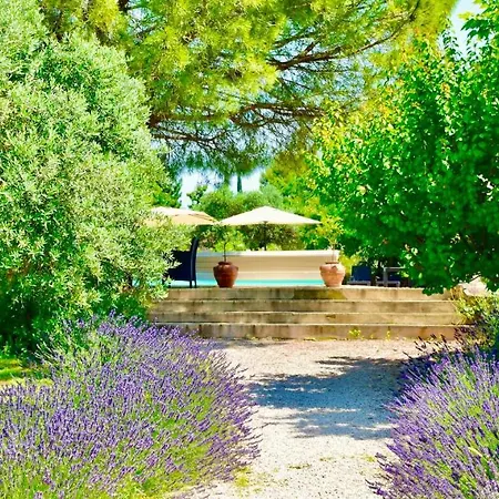 Bed & Breakfast Bastide Saint-didier
