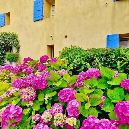 Bastide Saint-didier Bed & Breakfast Saint Didier (Vaucluse)
