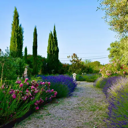 Bed & Breakfast Bastide Saint-didier