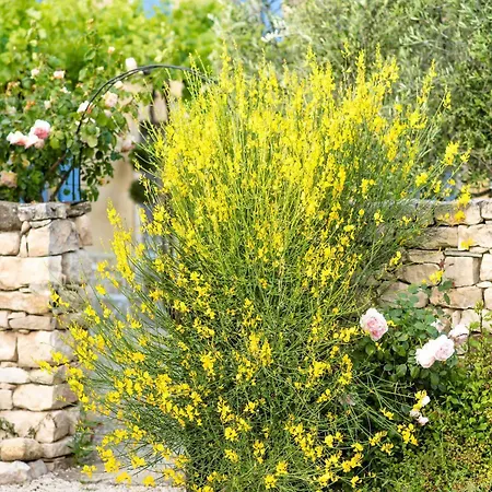 Bastide Saint-didier Bed & Breakfast 5*